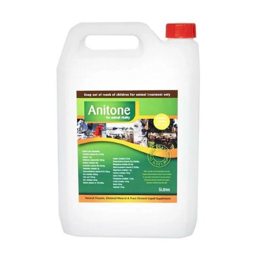 Picture of Anitone 5Lt