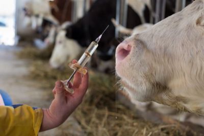 Picture for category Vaccines