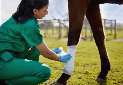 Picture for category Wound Care