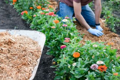Picture for category Compost, Mulch & Manure