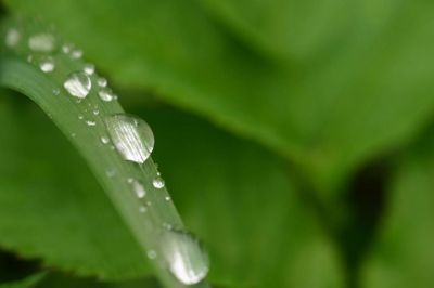 Picture for category Wetting Agents