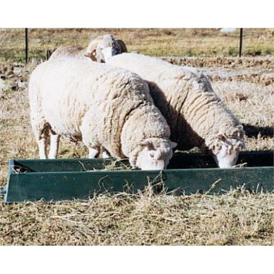 Picture for category Feeders