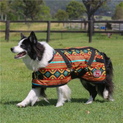 Picture for category Dog Coats