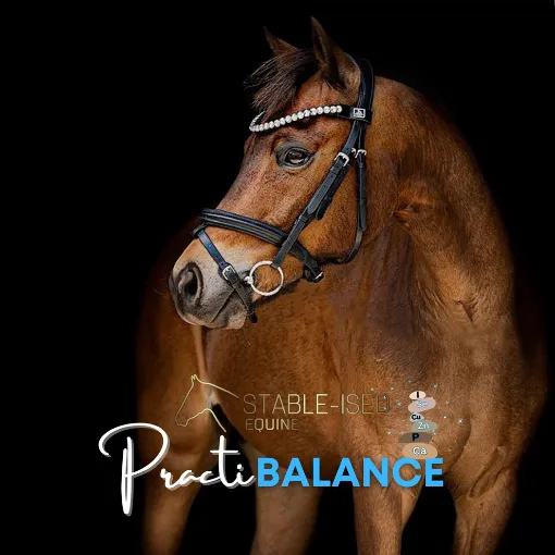 Picture of Stable-ised Equine PractiBalance 5kg 