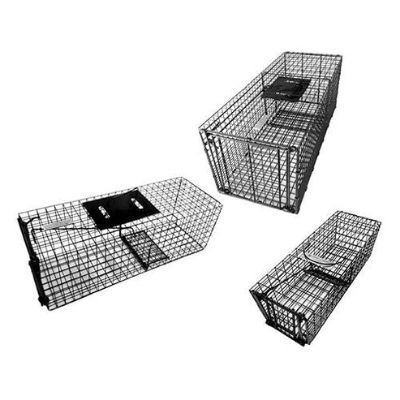 Picture for category Traps