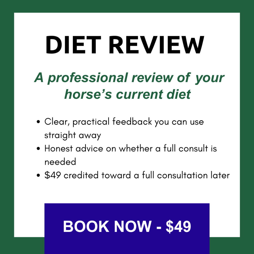 Equine Diet Review